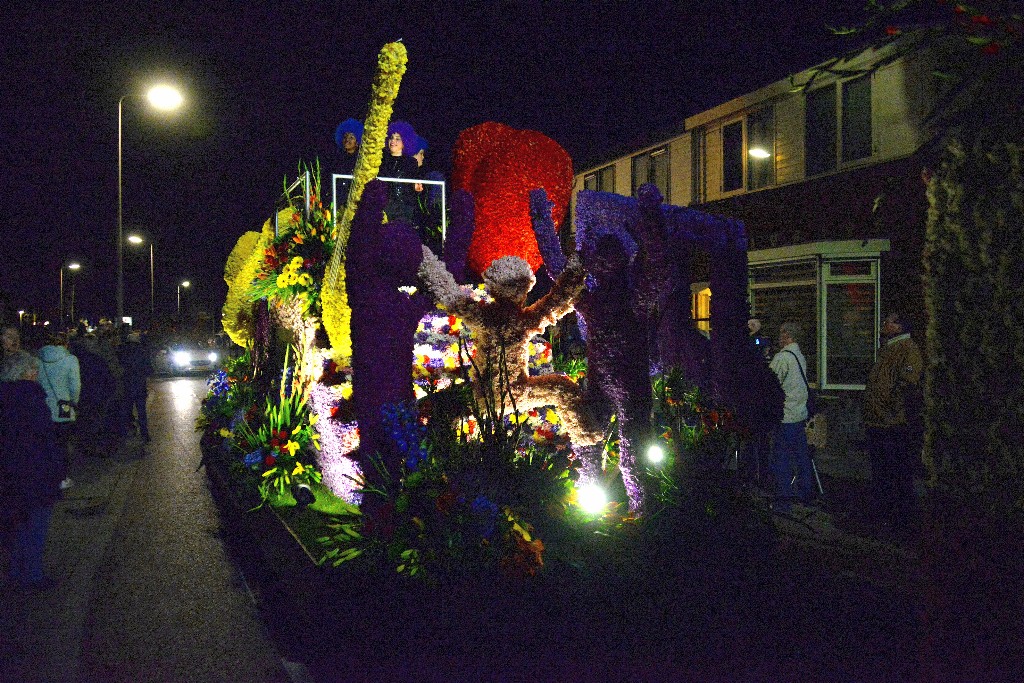 ../Images/Verlicht corso Noordwijkerhout 2019 119.jpg